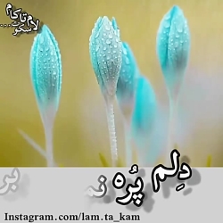 آهنگ غمگین  غمگین