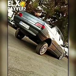 کلیپ شلوار پلنگی ـ آهنگ شمالی...