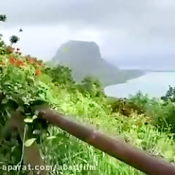 کلیپ صبح بخیر با طبیعت