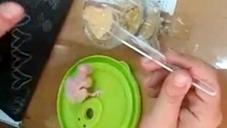 اموزش سرلاک دادن به عروس هلندی