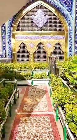 به تو از دور سلام یا امام رضا...