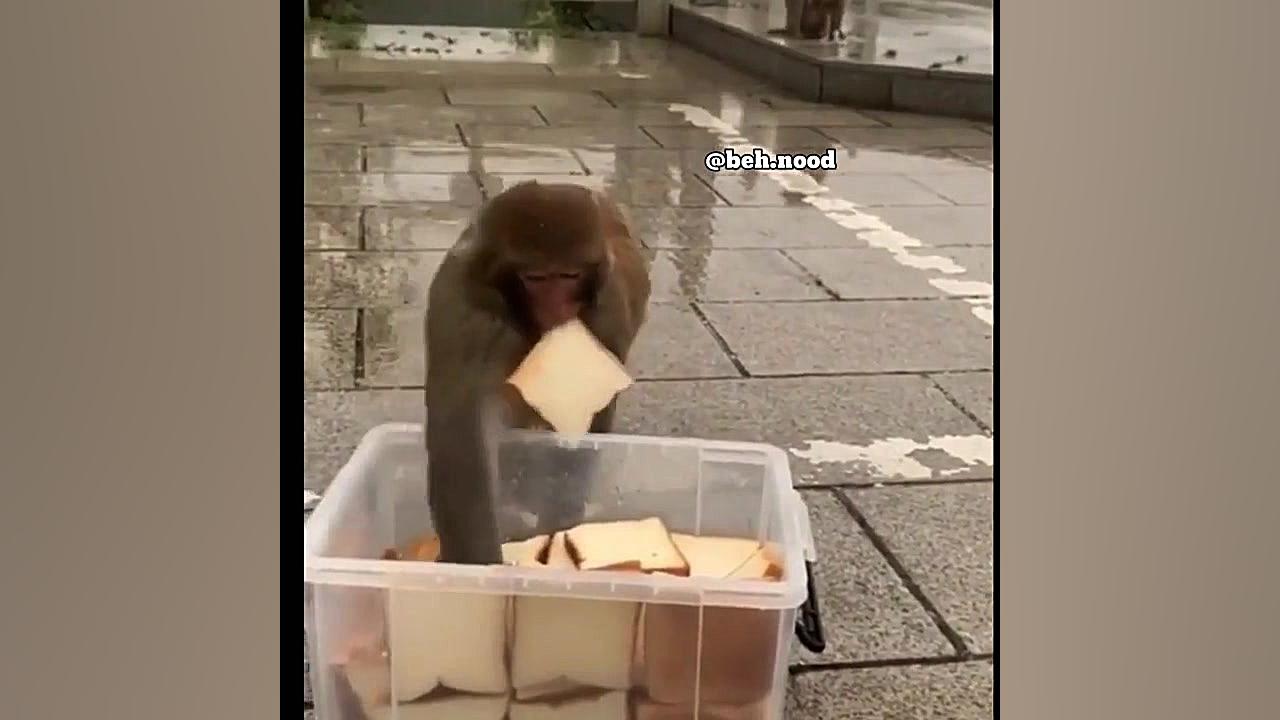 جوونا واقعا عجول هستن شما ببخش ساناز محمدی