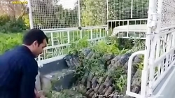 همکاری مردم محیط زیست