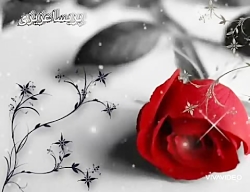 دکلمه حافظ دیوان حافظ ای پادشه...