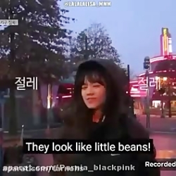 طعتیلات بلک پینک در شهر بازی خ...