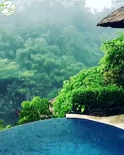 جزیره توریستی بالی . اندونزی