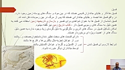 شجره طیبه:فصل هفتم جلسه یک و د...