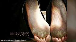 جدیدترین مداحی زیبا سید مجید ب...