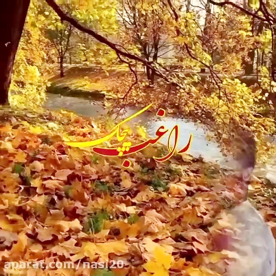 کلیپ زیبای راغب  گل ریحون  آهن...