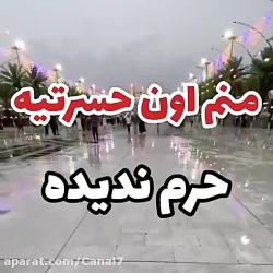 اربعین حسینی  منم اون حسرتیه ح...