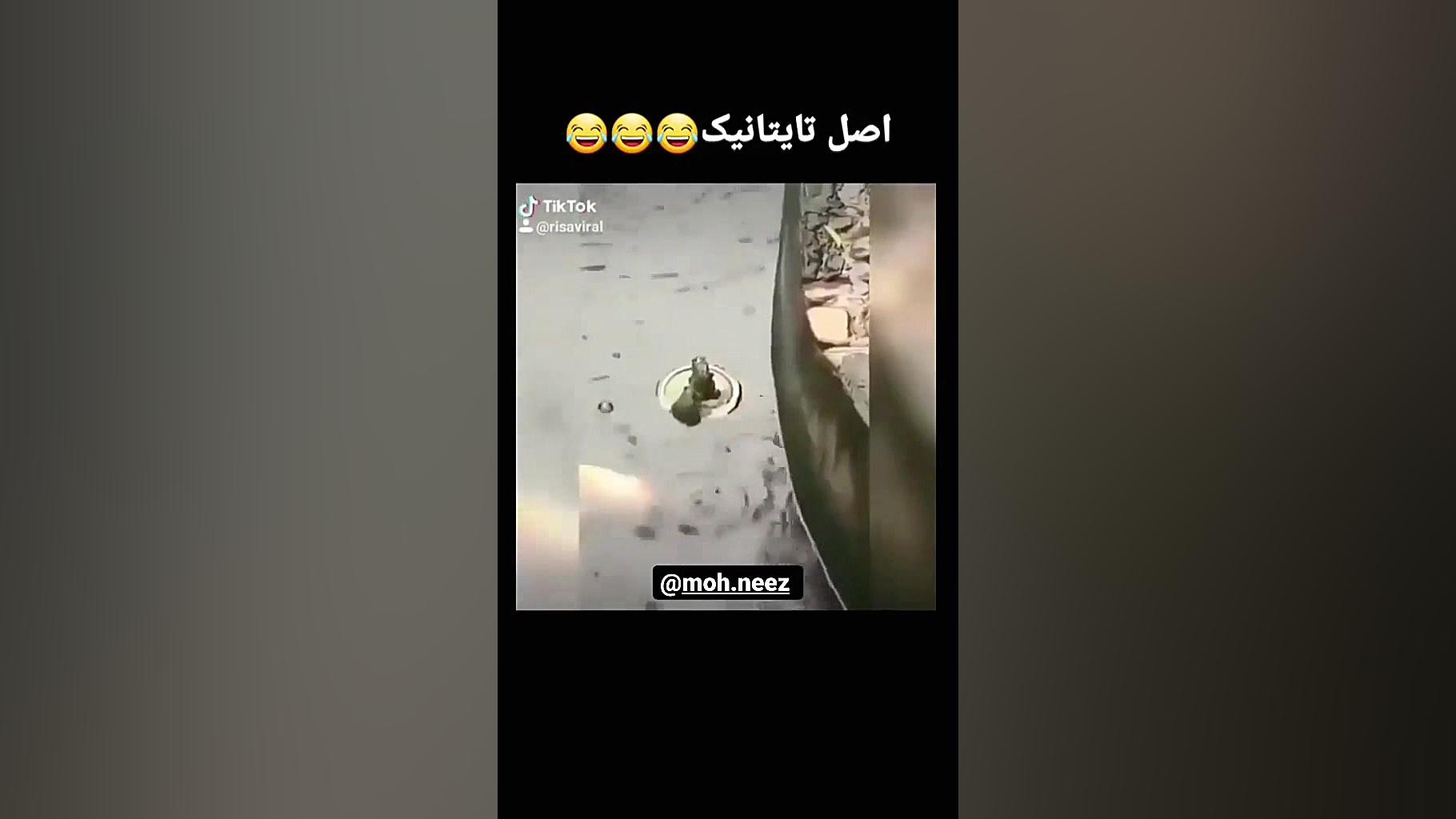 فیلم اصلی تایتانیک ساناز محمدی