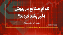 کدام صنایع در ریزش اخیر رشد کر...