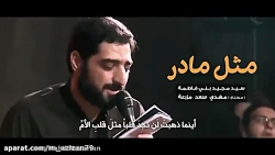 سید مجید بنی فاطمه _ مثل مادر