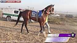 قهرمانی تکنو - دور چهارم از هف...