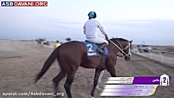 قهرمانی دوبلین  دور ششم از هفت...