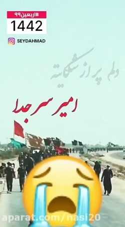 کلیپ برای اربعین  دلم پر از شک...