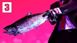 آریا کیوکسر (قسمت 425) | H I T...