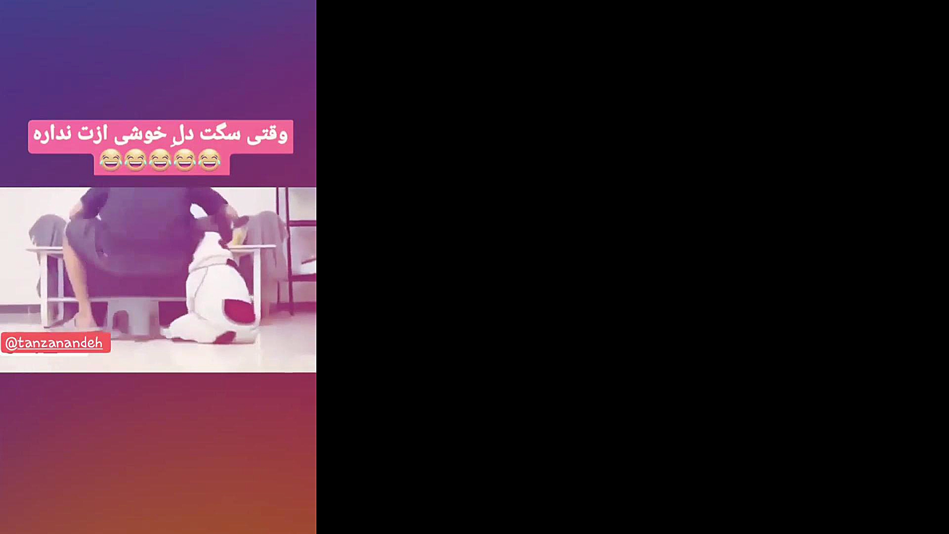 حتی سگه هم ازش خوشش نمیاد ساناز محمدی