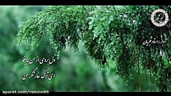 استاد شجریان دل بردی از من