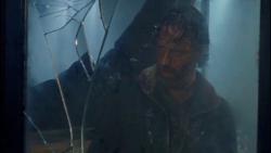 The walking dead