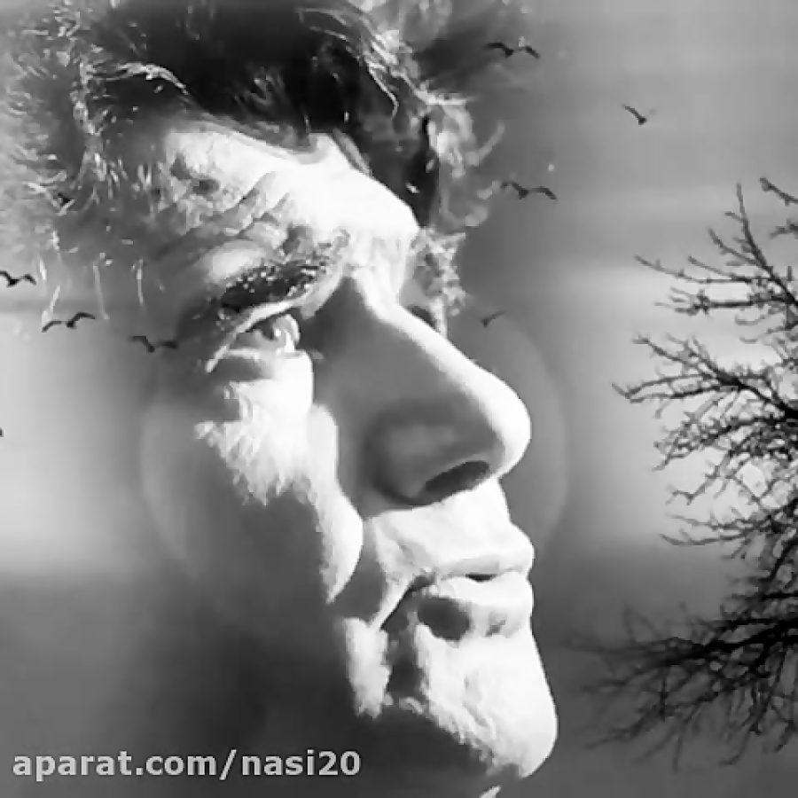 کلیپ به مناسبت درگذشت استاد شج...