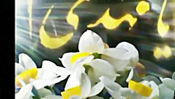 کلیپ عاشقانه امام زمان با آهنگ...