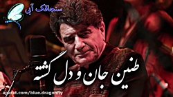 کلیپ تسلیت درگذشت استاد محمدرض...