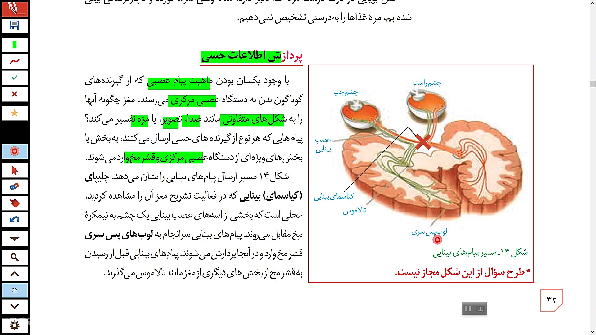 حس بویایی و چشایی - پردازش اطلاعات حسی مارال فرجاد