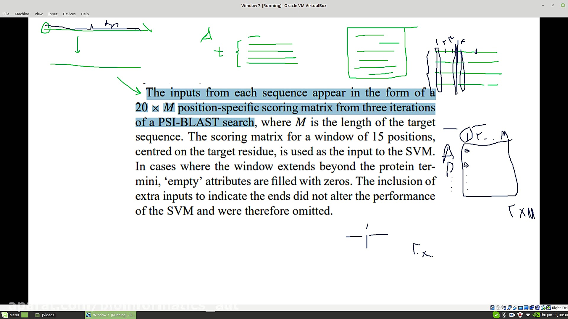 The Application of SVM in Protein ایمونولوژی محاسباتی