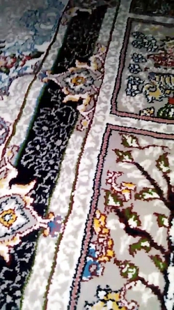 تازه وارد اپارات شدم