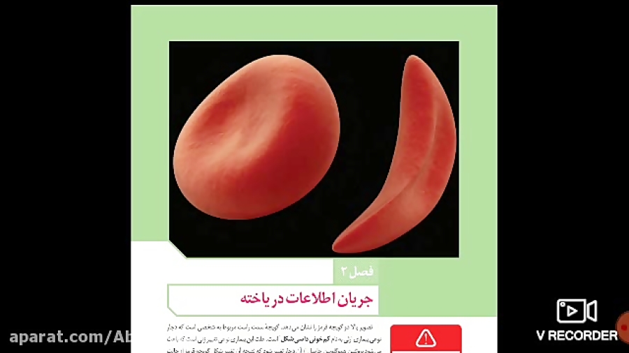 جریان اطلاعات در سلول