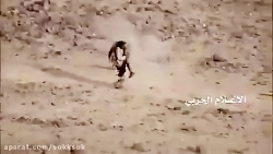 سلحشوری رزمنده انصارالله در نب...