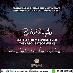 قرائت زیبای قرآن