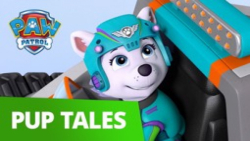 کارتون سگهای نگهبان _ این داست...