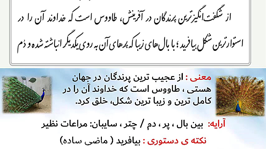 فارسی هشتم-درس دوم-خوب جهان راببین-بخش اوّل مریم زارعی- دبیر ادبیات-آپارات