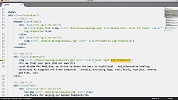 آموزش فارسی بوتسترپ3 شماره 13