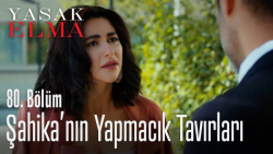 دانلود قسمت 80 سریال ترکی سیب...