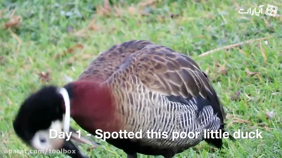 نه بخشیده می شویم نه آمرزیده م...