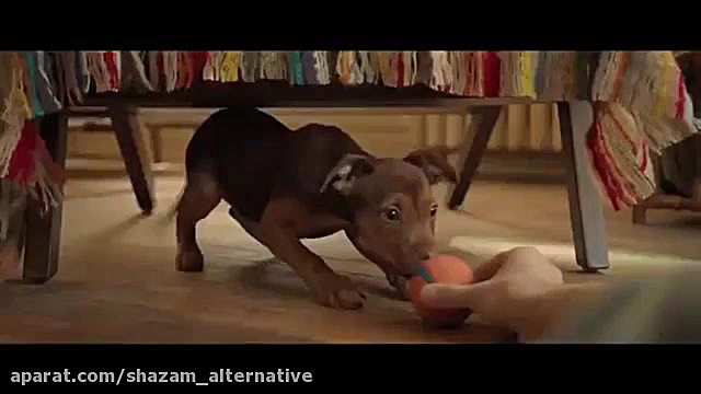 تریلر فیلم مسیر یک سگ به خانه (a dog way home) منتشر شد! زمان159ثانیه