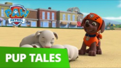 انیمیشن سگهای نگهبان  این داست...