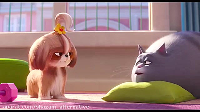 معرفی ویدیویی و تریلر فیلم The Secret Life of Pets 2 2019 زمان102ثانیه