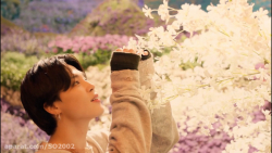 Bts Stay gold (방탄소년단) mus...