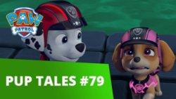 انیمیشن سگهای نگهبان  این داست...