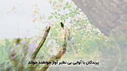 سیأتی الصباح | صبح خواهد آمد...