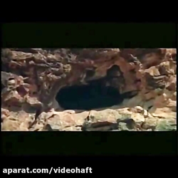 ببینید | صدای ماندگار محمد رسو...