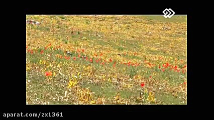 مستند سرزمین رویایی در میان ابرها زمان1987ثانیه