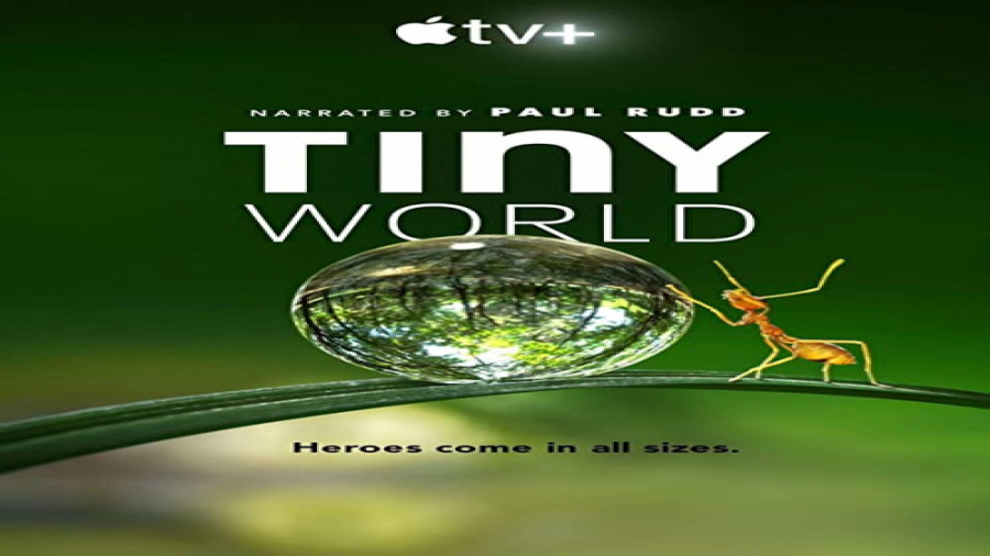 مستند دنیای کوچک 2020 | tiny world | فصل 1 قسمت 1 زمان1804ثانیه