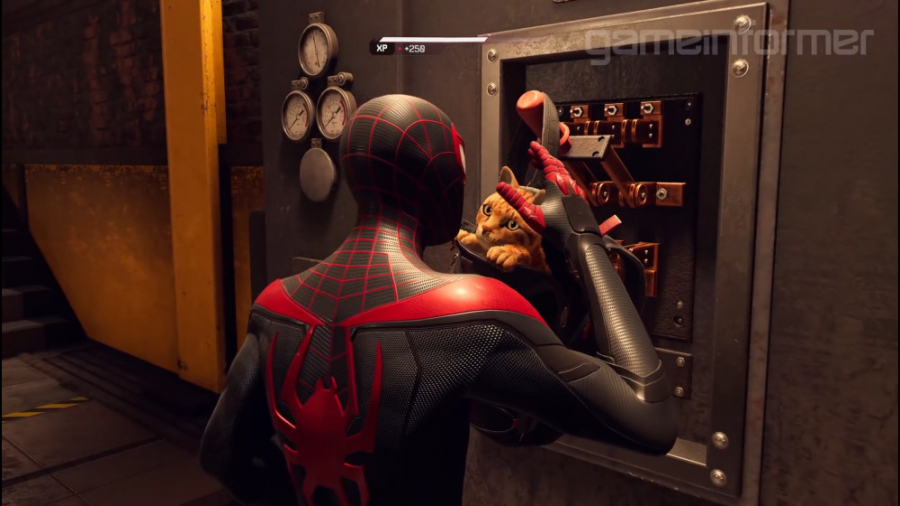 افزودن یک گربه همراه شخصیت اصلی در بازی Spider-Man: Miles Morales