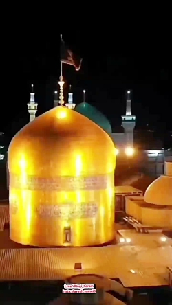 شهادت امام رضا ع تسلیت