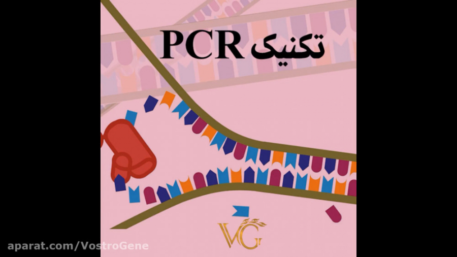 تکنیک PCR درمان جای جوش